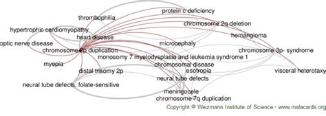 Image result for Duplication Disease