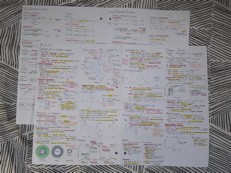 Image result for Module 2 A3 Sheet