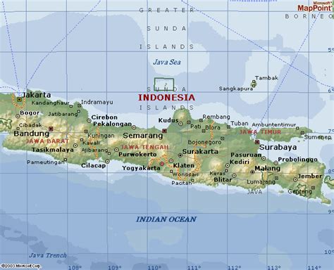 Image result for Cartoon Map Java Surakarta