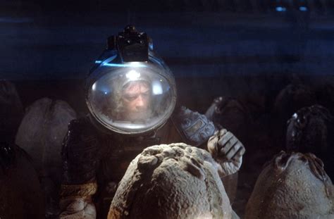 Image result for Looking in Alien Egg