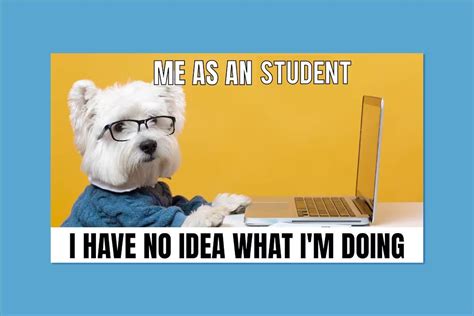 Image result for Kid Doing Homework Meme