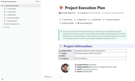 Project Execution Steps に対する画像結果