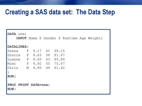 SAS Data Set Example に対する画像結果