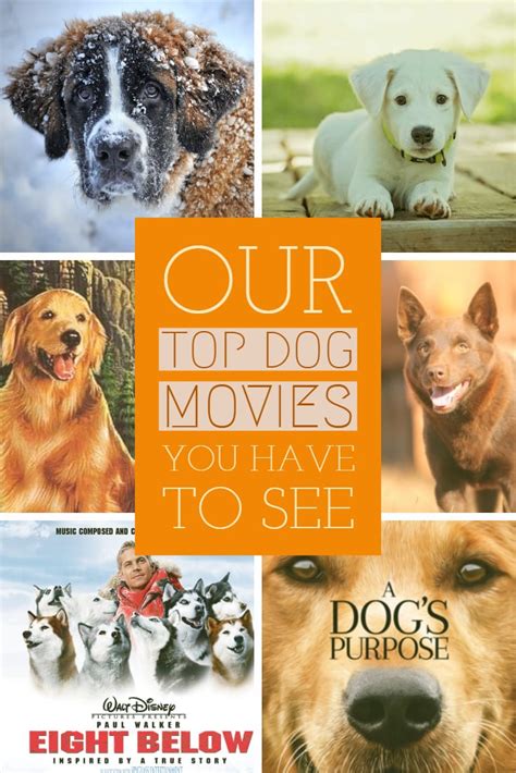 Image result for Animal Dog Movies