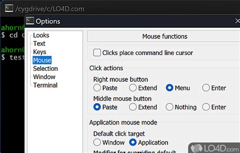 Image result for Python Mintty or Default Console