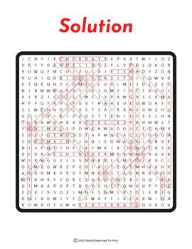 Image result for Classification Word Search