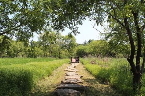 Image result for Stone Steps in Forest iStock