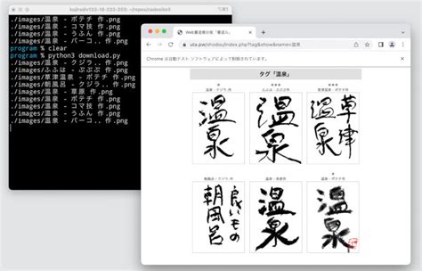 Python Browser Code に対する画像結果