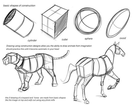 Image result for Drawing Animals Using Basic Shapes