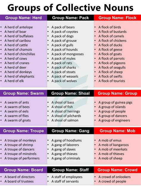 Image result for Collective Nouns Examples