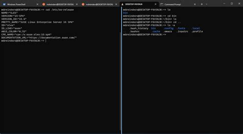 Image result for Windows Terminal WSL2