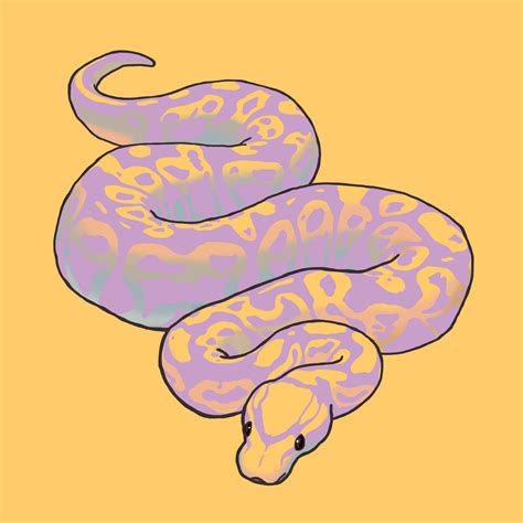 Image result for Graffiti Ball Python