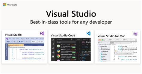 Image result for Software Developer Visual
