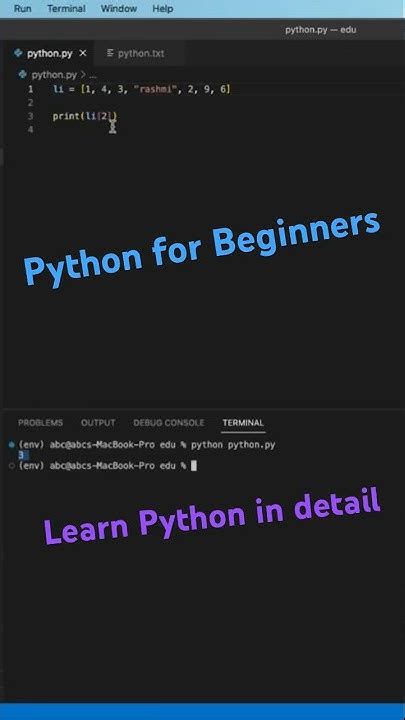 Image result for Python Pitcher