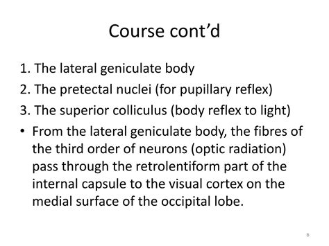 Image result for Visual Field Tracts