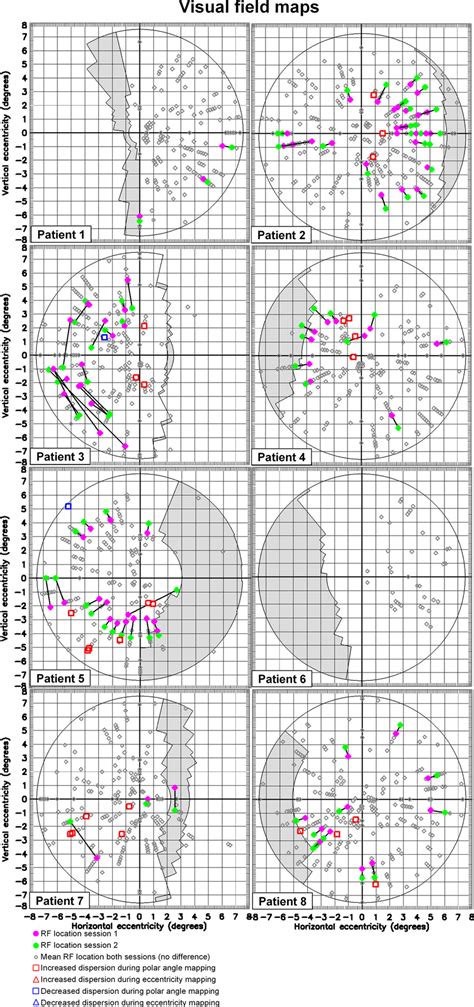 Visual Field Map に対する画像結果