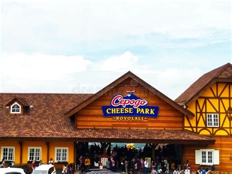 Afbeeldingsresultaten voor Java Newest Logo