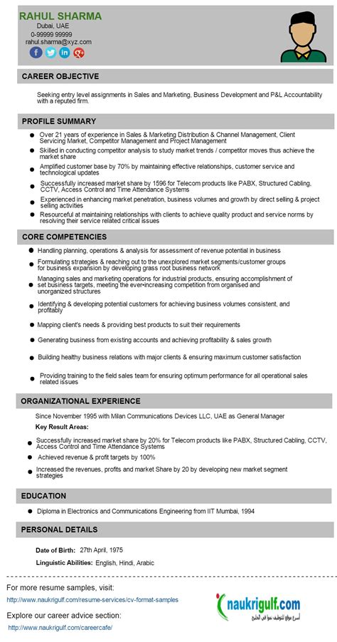 Resume Business Development Manager Format に対する画像結果