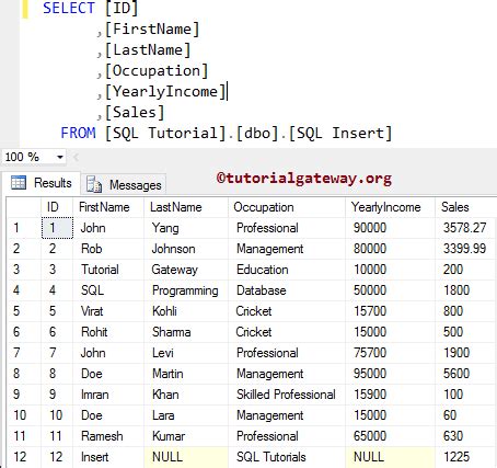 SQL Server Insert Statement Example に対する画像結果
