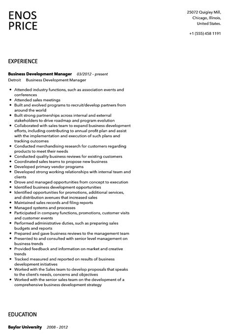 Resume Business Development Manager Format に対する画像結果