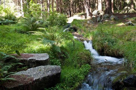 Image result for Stream Definition