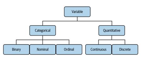 Image result for Types of Variable