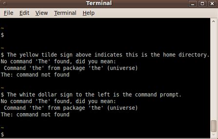 Command-Prompt Linux Commands માટે ઇમેજ પરિણામ