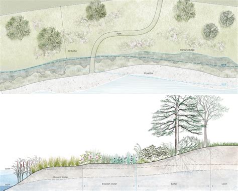 Image result for Defencable Buffer Planting