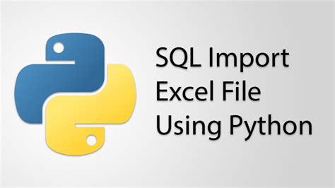 Image result for Python SQL Excel Image