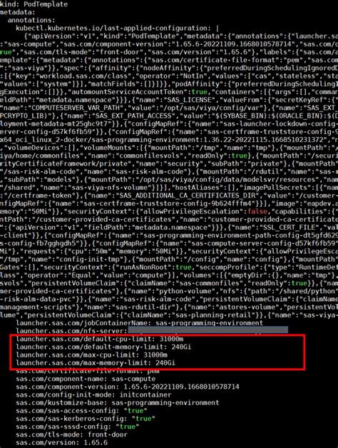 SAS Management Console に対する画像結果