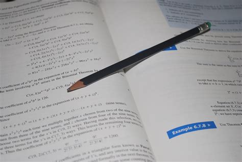 Image result for Study Guide for Essay PDF