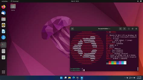 Toradh íomhá ar Ubuntu Console Mode