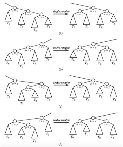 Tree Rotation に対する画像結果