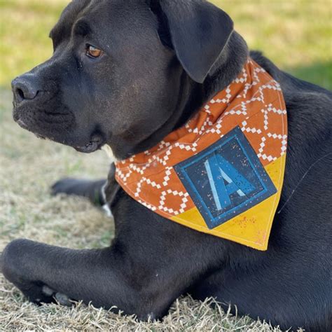 Image result for Alphabet Code