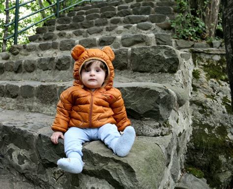 Scratch Jr Windows に対する画像結果