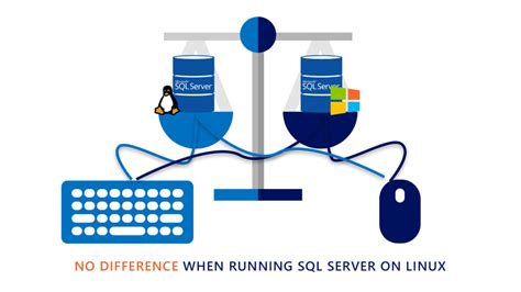Image result for SQL Server Linus