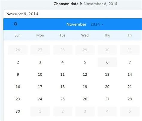 Image result for Angular Date PICKER