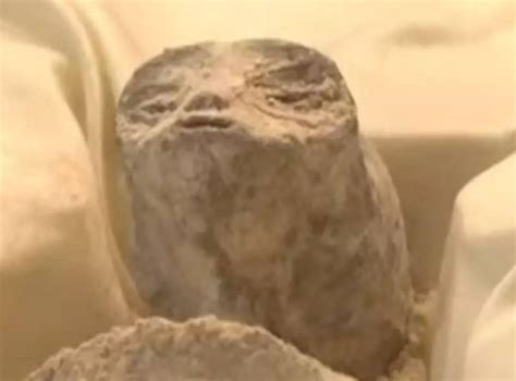 Image result for Alien Bodies