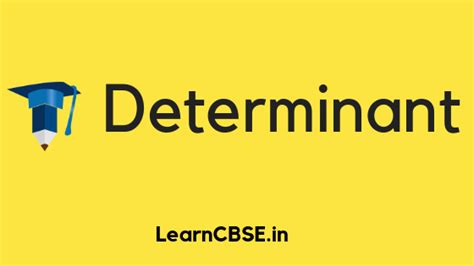 Image result for Determinant Example