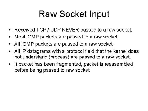 Raw Socket Programming に対する画像結果