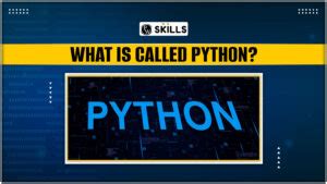Image result for What Is After the Python