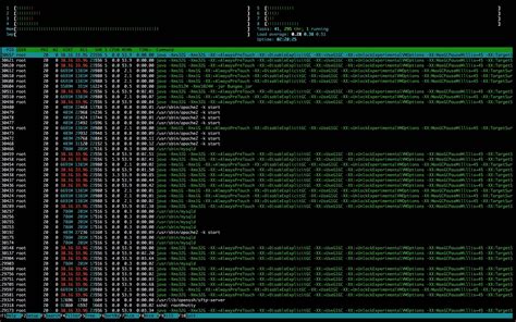 Toradh íomhá ar Minecraft Java Runtime Environment