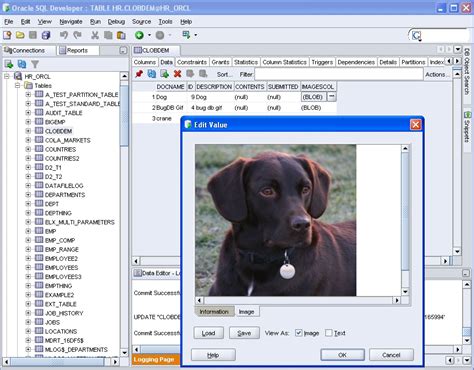 Oracle SQL Developer Query Builder に対する画像結果