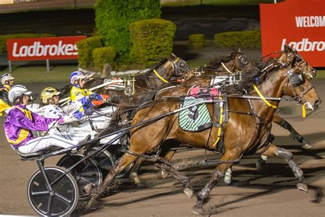 Retention Dual-Code に対する画像結果