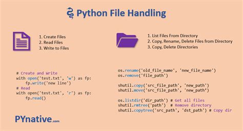 Python File Example に対する画像結果