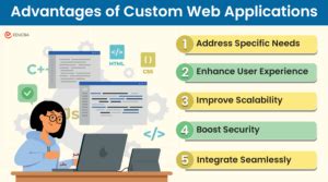 Image result for Customized Software and Web Applications