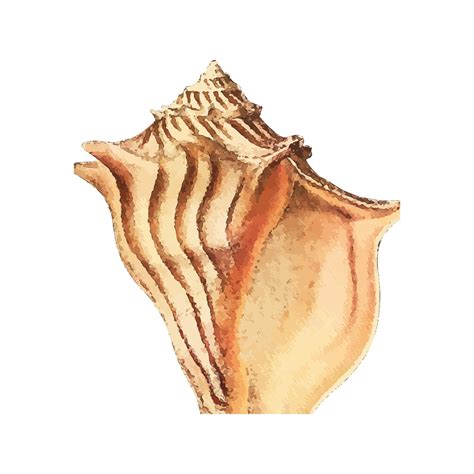 Shell Logo JPEG に対する画像結果