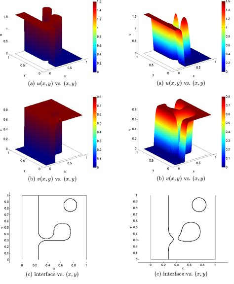 Exponential Function Formulation COMSOL Diffusion に対する画像結果