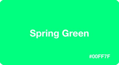 Image result for Spring Green Color Swatch