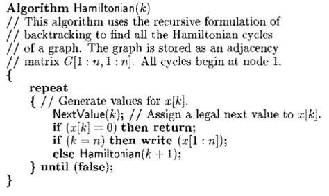 Backtracking Algorithm C++ に対する画像結果